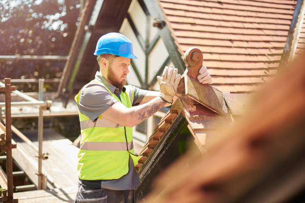 Best Roof Gutter Cleaning  in Harpersville, AL